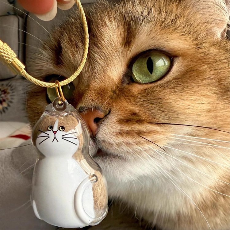 【สิ่งจำเป็นสำหรับคนรักสัตว์เลี้ยง】จี้เก็บขนสัตว์เลี้ยง