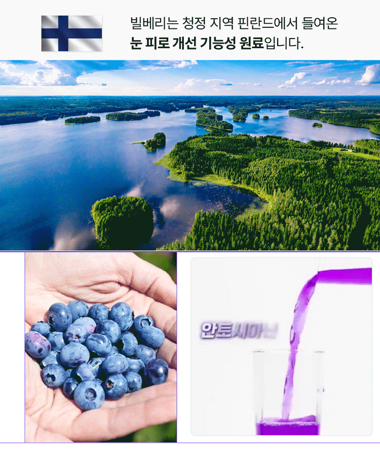 시력 개선 루테인 분말제