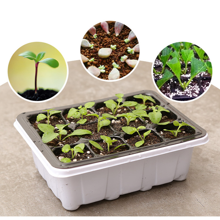 12 Plastový sadbovač s otvory