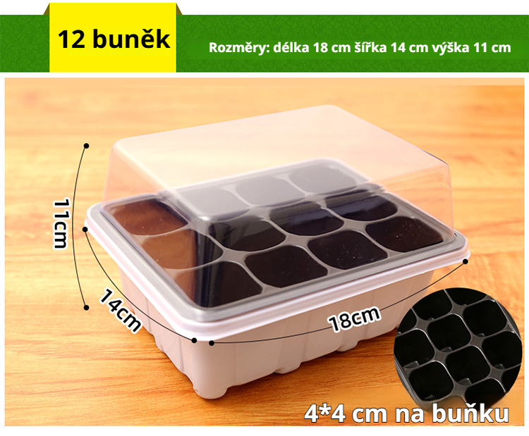 Sazenice v plastovém sadbovači s otvory