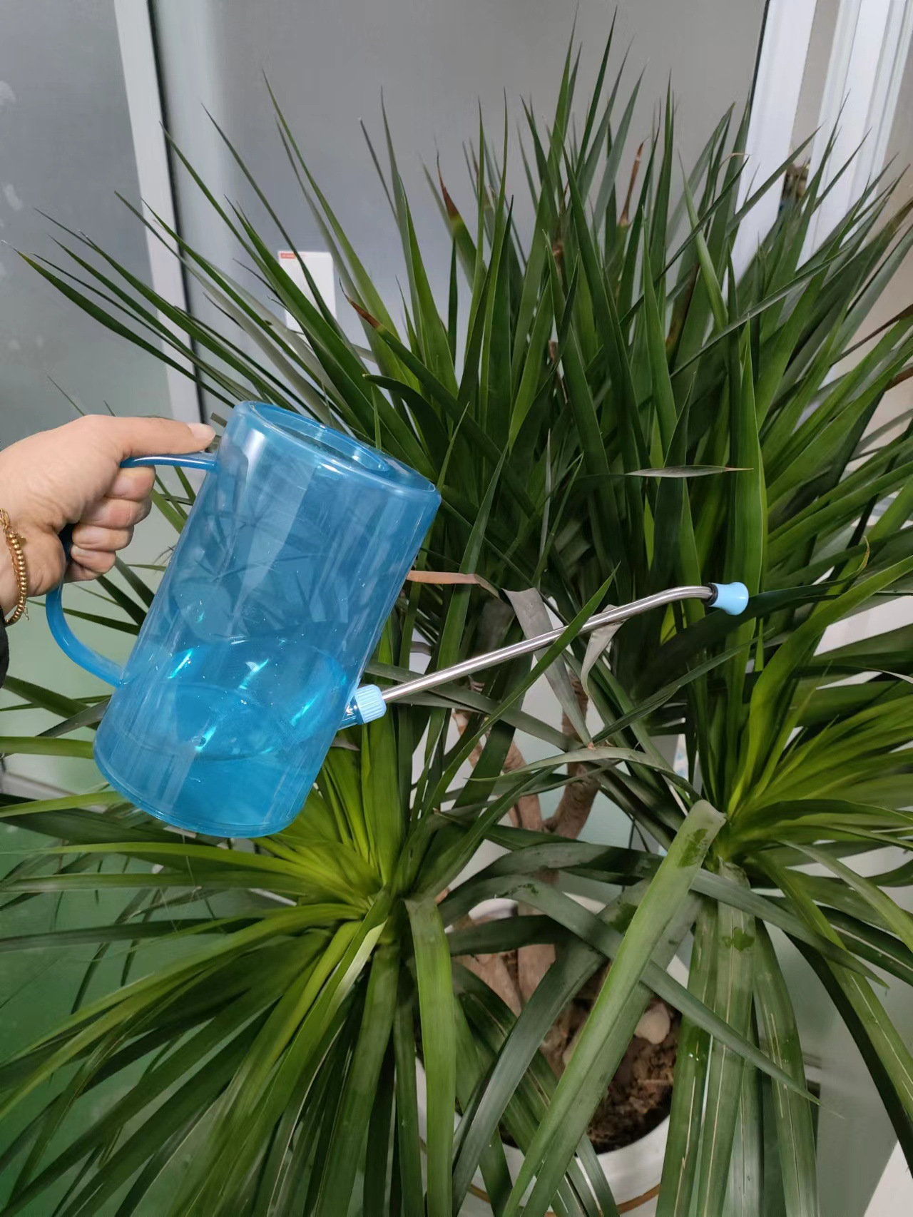 화분과 함께 연출된 물뿌리개