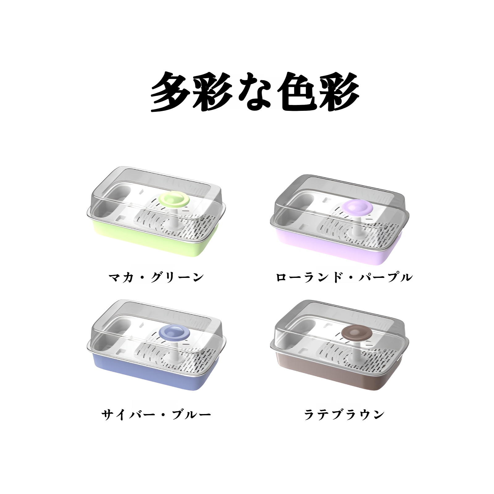 カメ飼育に最適な透明水槽