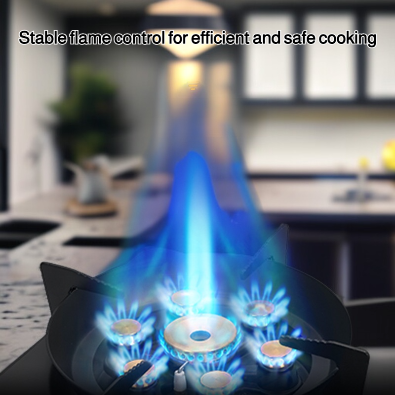 Household gas stoves