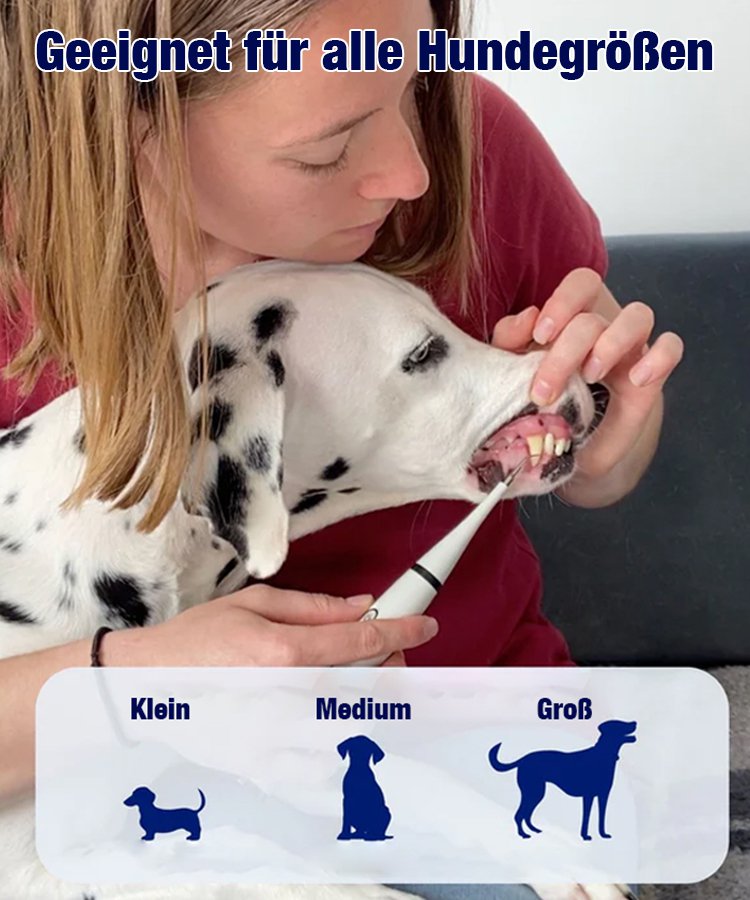 Ultraschall-Zahnreinigungsgerät für Haustiere