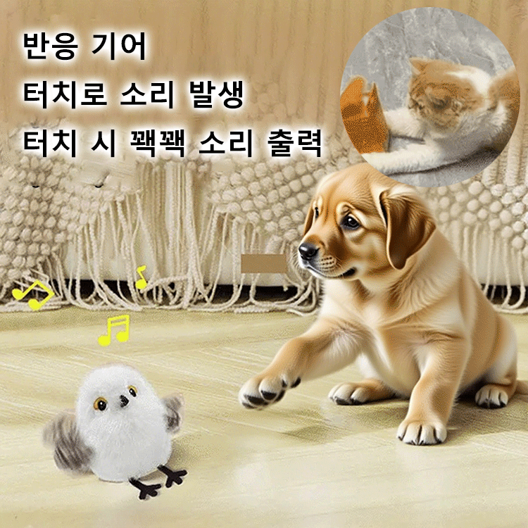 움직이는 고양이 장난감 춤추는새