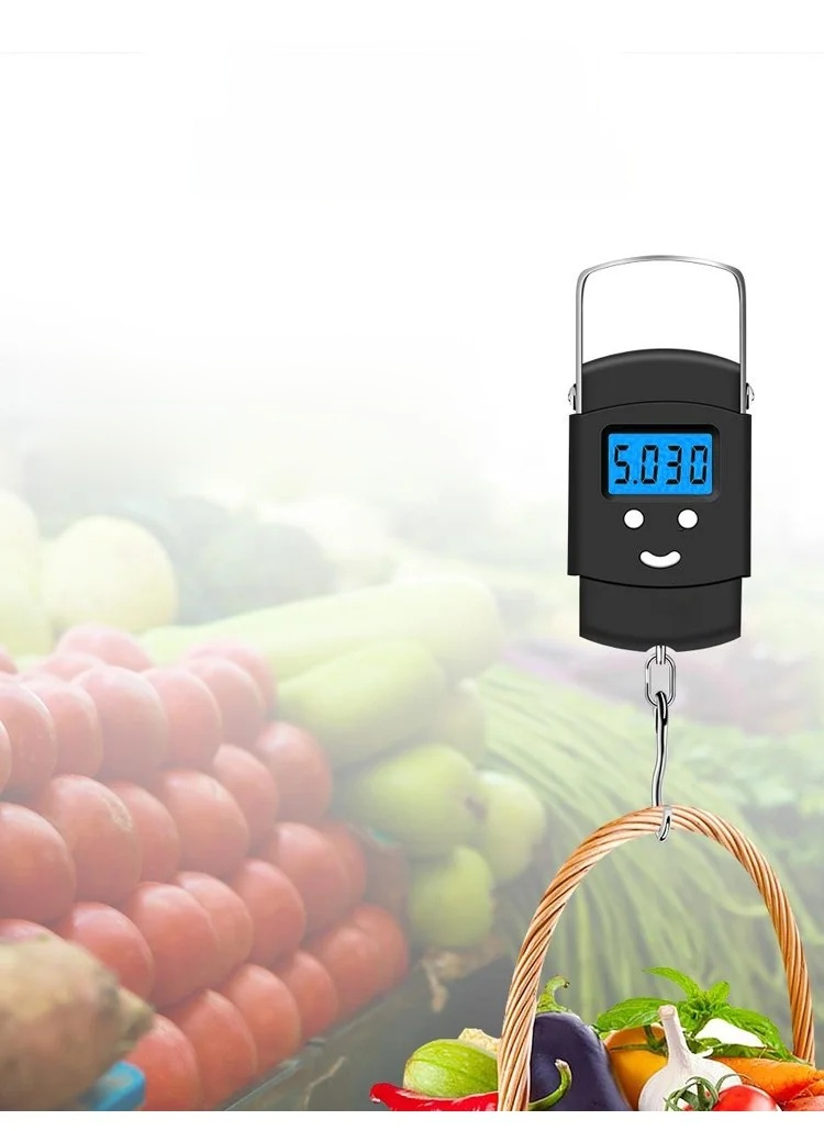 手提彈簧電子秤