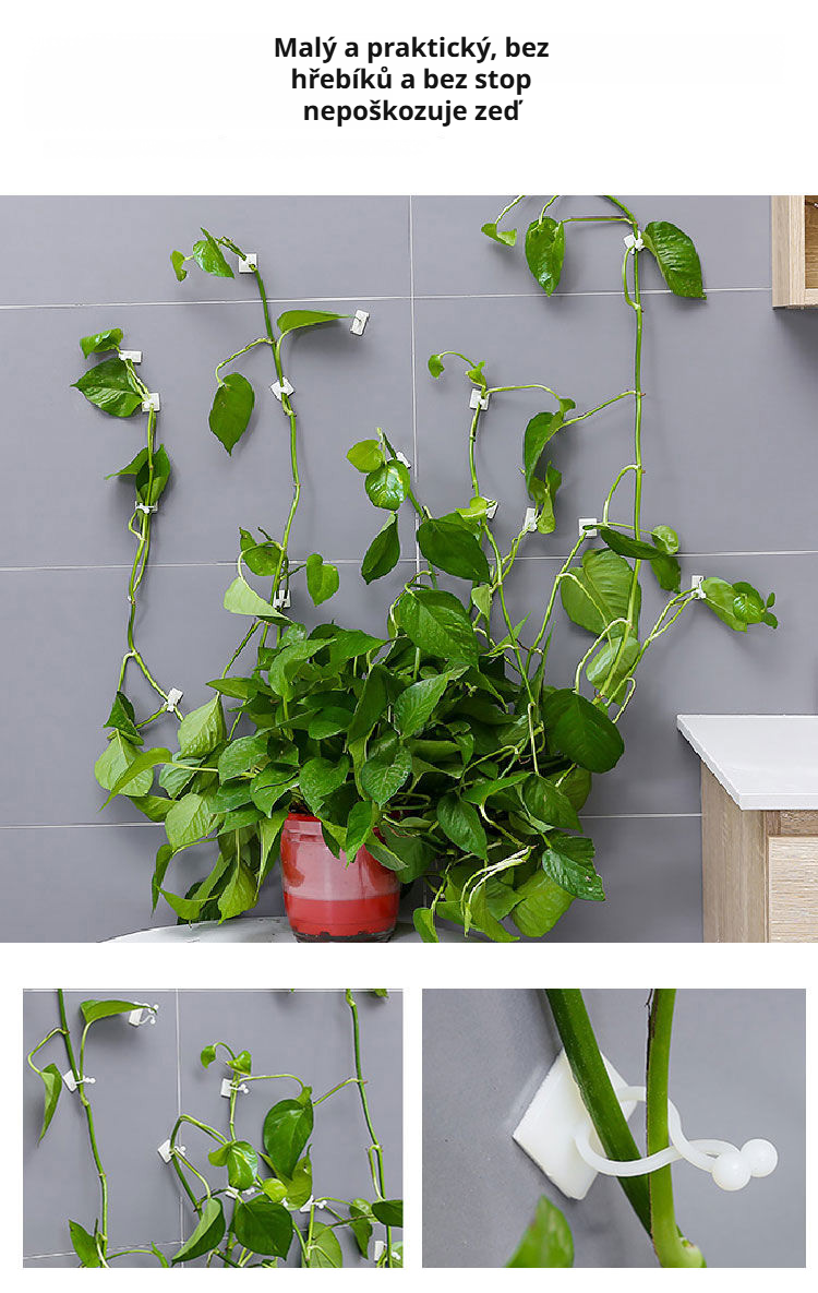 Sada držáků na popínavé rostliny