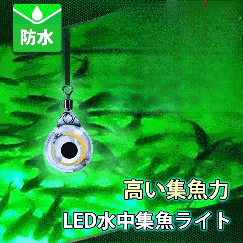LED水中集魚ライト