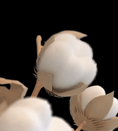 adad4a15c3d2a866a617625318af9a614d7217cd1ec14d-8d9zWr.gif