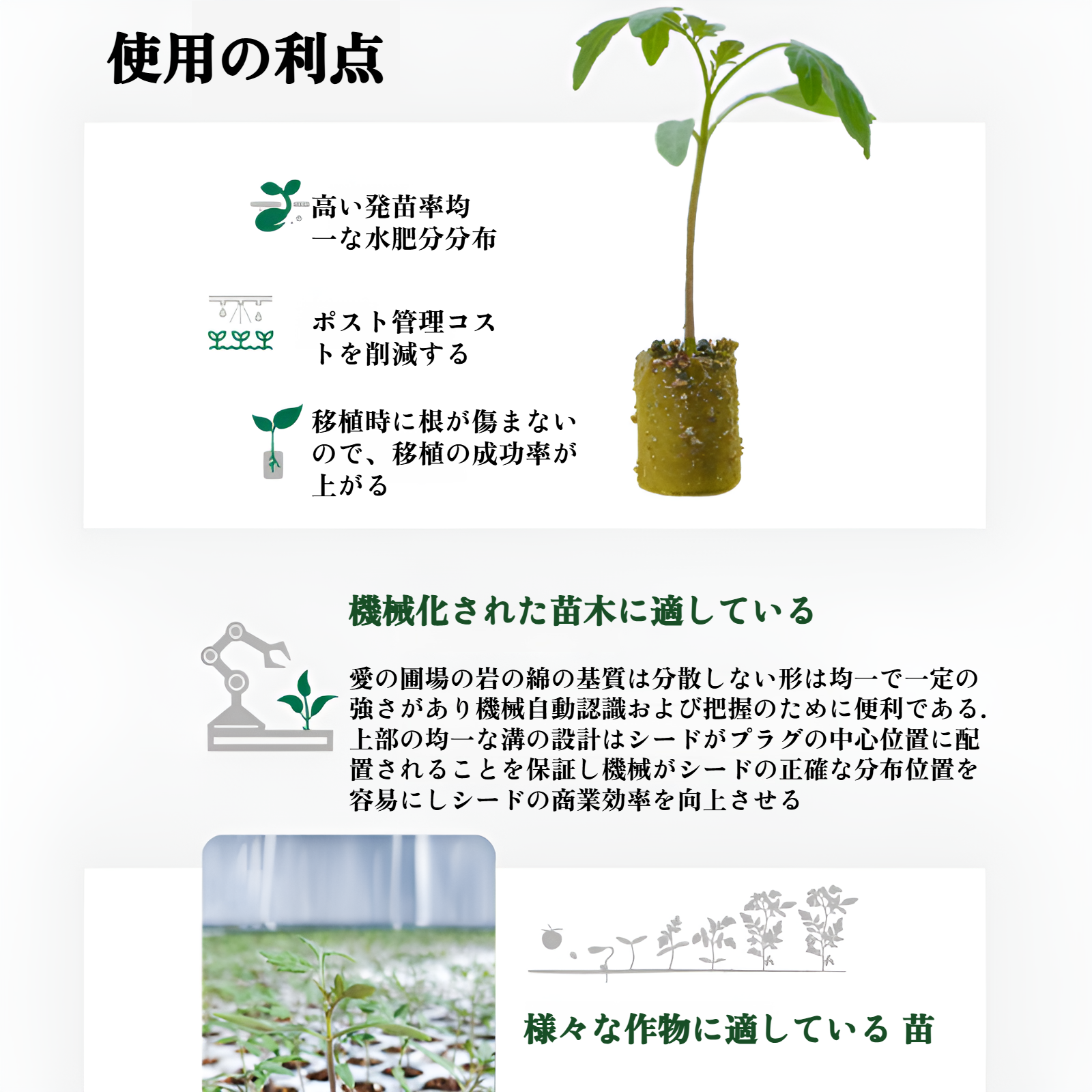 水耕栽培で使用されているロックウールプラグのクローズアップ