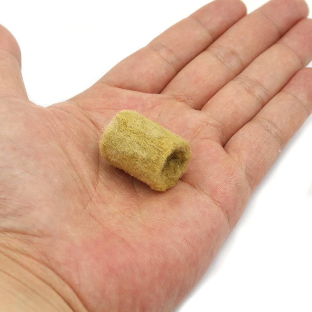 種まきをした直後のロックウールプラグのアップ画像