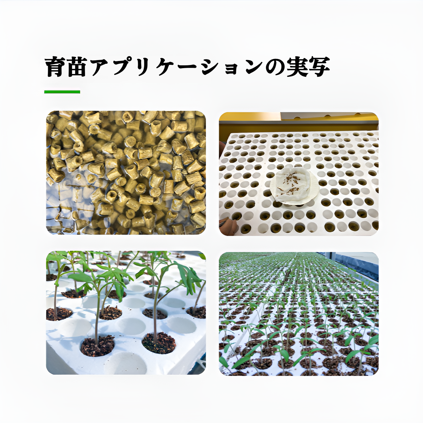 農業用水耕苗円筒無土壌栽培マトリックス播種ロックウールプラグ27*20mm