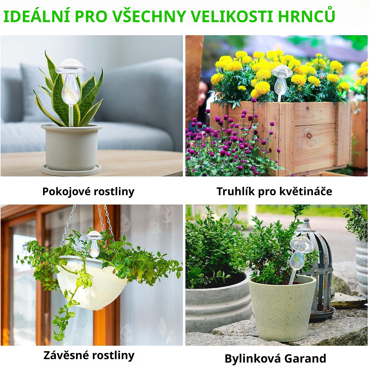 Skleněná kulatá zavlažovací koule pro rostliny domácnosti