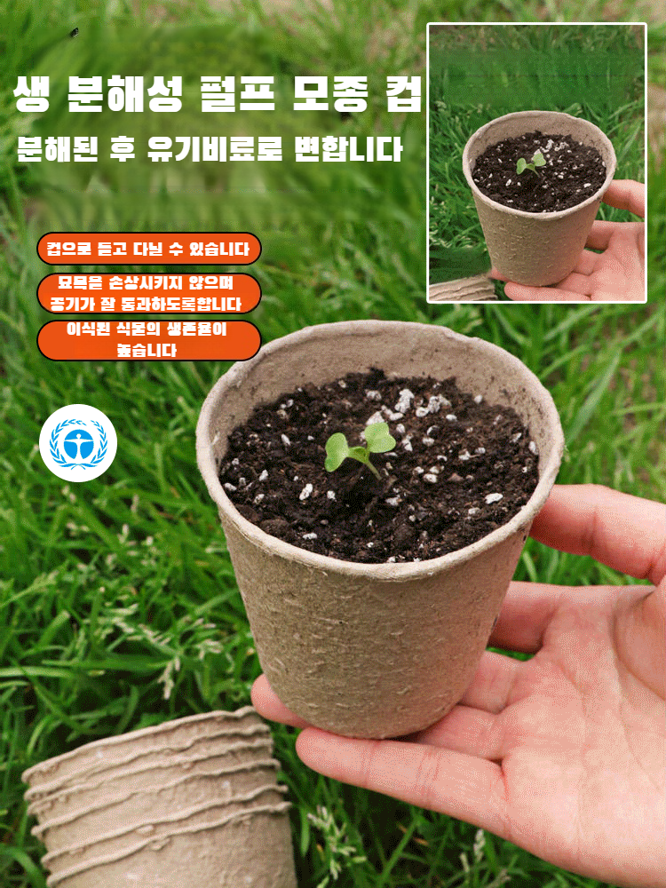 친환경 생물 분해성 페트 화분 친환경 지속 가능한 원예 분해성