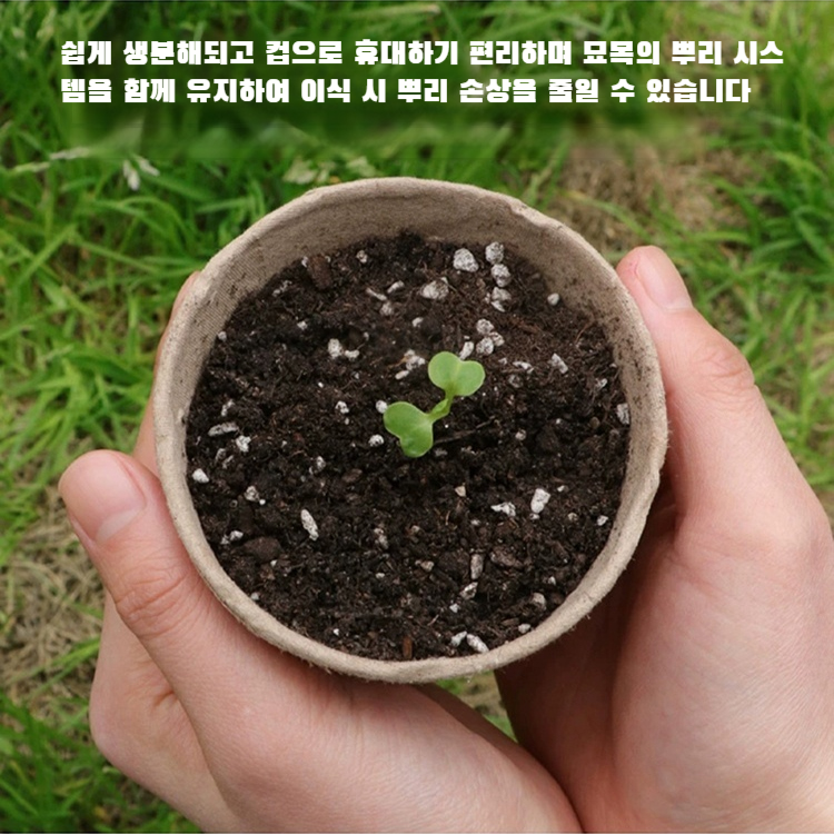 친환경 생물 분해성 페트 화분 친환경 지속 가능한 원예 분해성