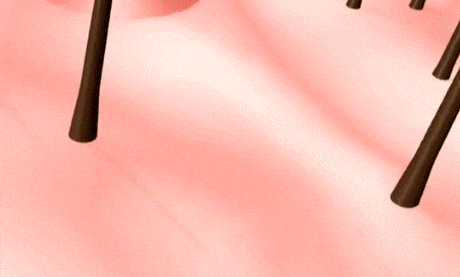 ebe71bcf07e898c5a7794c535dbca11b.gif