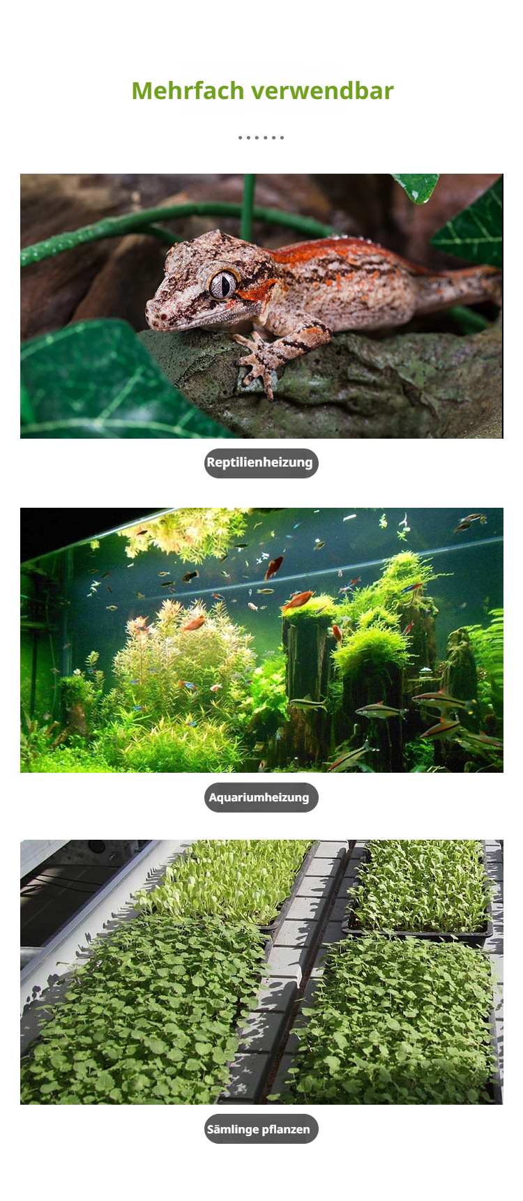 Hochwertige Heizmatte für die Pflanzenanzucht