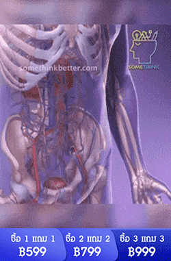 【คืนหลอดเลือดที่แข็งแรงให้คุณใน 15 วัน】แคปซูลน้ำมันคริลล์แอนตาร์กติก