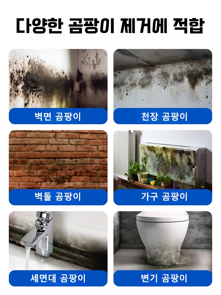 5in1 곰팡이 제거제