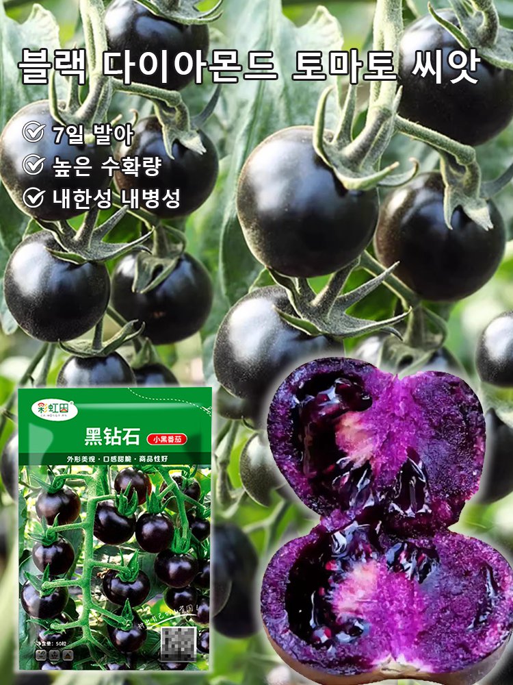 블랙 다이아몬드 토마토 씨앗