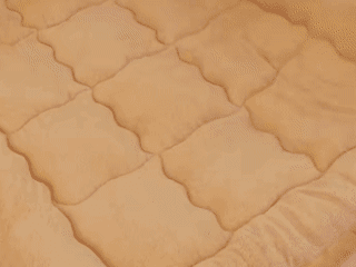 Honeycam 2024-11-22 14-06-43.gif
