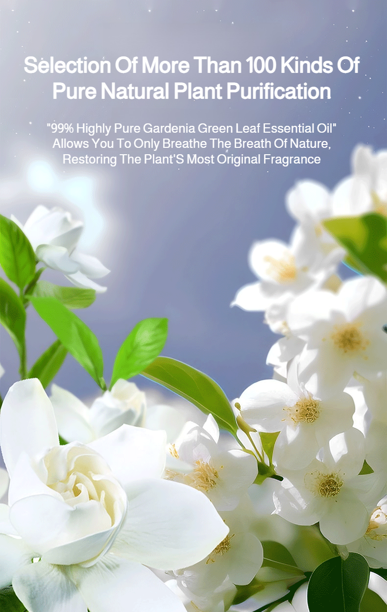 편리한 자동 디퓨저 사용 모습