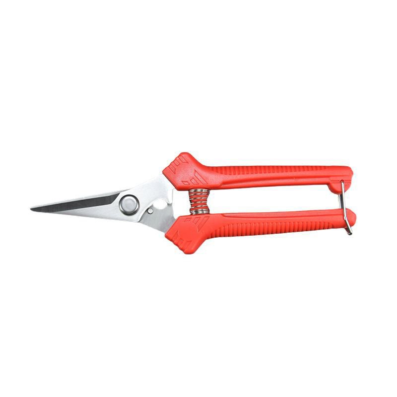 ステンレスの枝切りフラワーガーデニング盆栽の剪定です