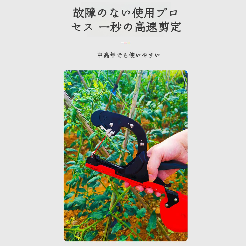 ブドウのタイイングマシン つるタイイングマシン 広がる野菜のタイイングマシン キュウリのナスのタイイングマシン