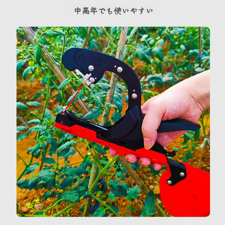 ブドウのタイイングマシン つるタイイングマシン 広がる野菜のタイイングマシン キュウリのナスのタイイングマシン