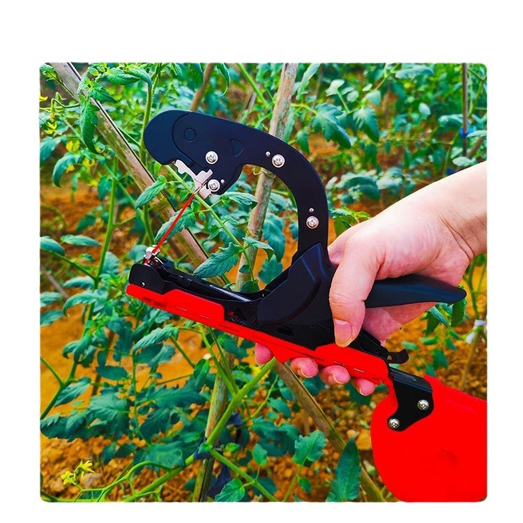 ブドウのタイイングマシン つるタイイングマシン 広がる野菜のタイイングマシン キュウリのナスのタイイングマシン