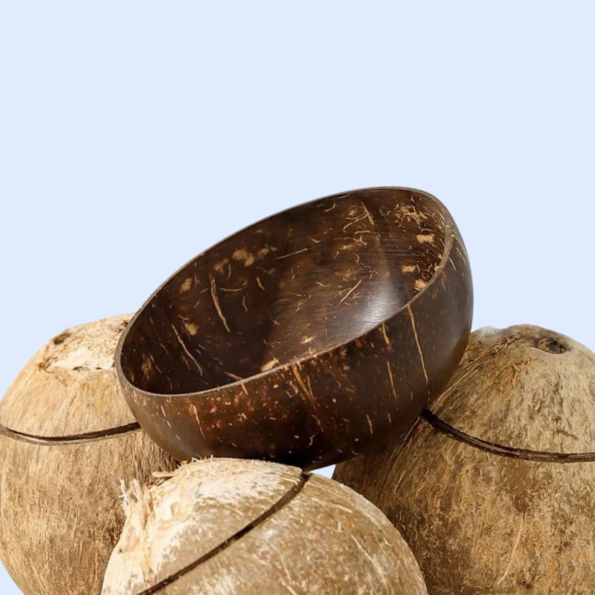 천연 코코넛 껍질 나무 그릇