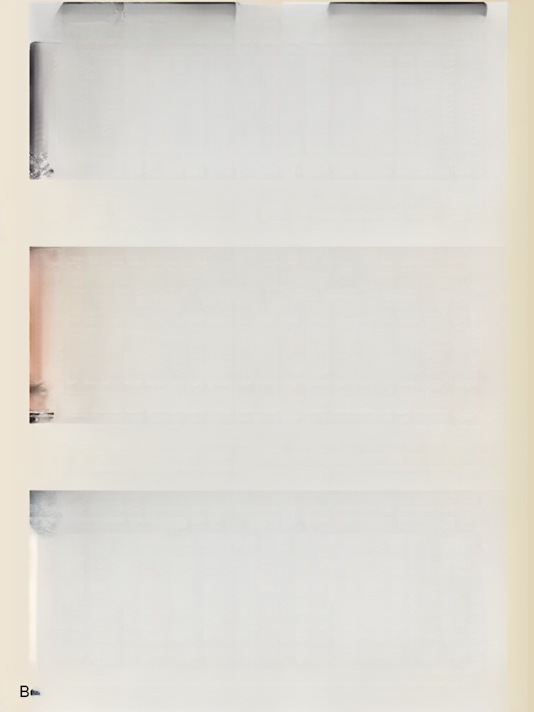 [Re-dye at any time to avoid embarrassment] Waterproof and sweat-proof hair dye comb