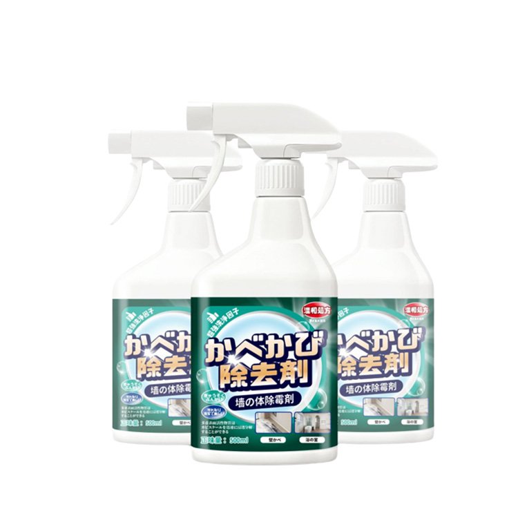 벽면 곰팡이 제거제