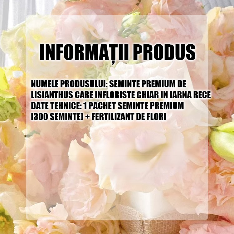 Semințe de platicodon grandiflorum