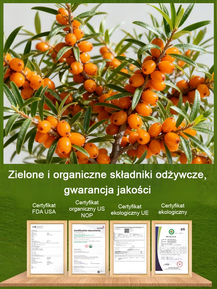 【Zwiększenie odporności i przeciwdziałanie starzeniu się】Wyniki z tamtego roku: sadzonki rokitnika o