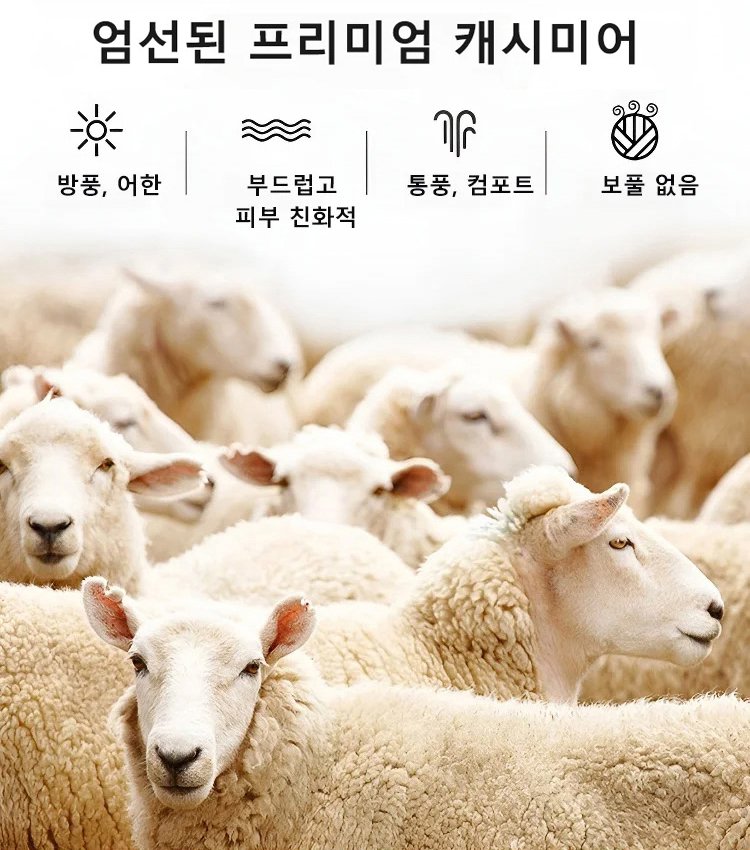 남성용 단색 맨투맨 세트