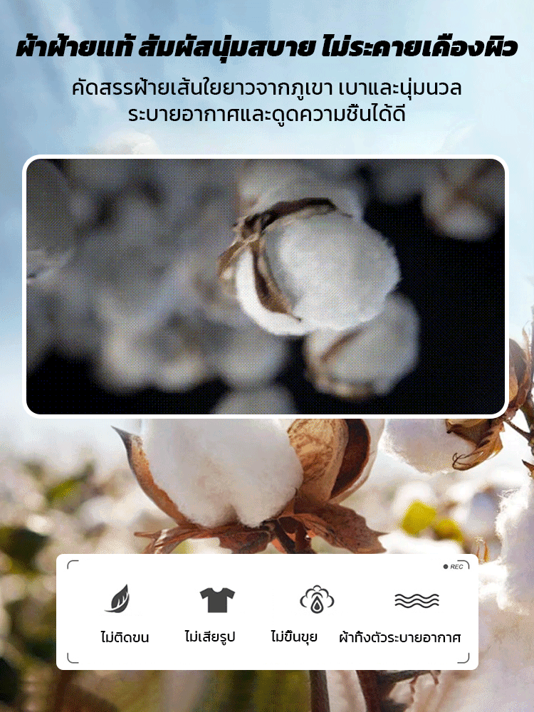 เสื้อเชิ้ตสไตล์เกาหลี ฟิตตัว ดูผอม