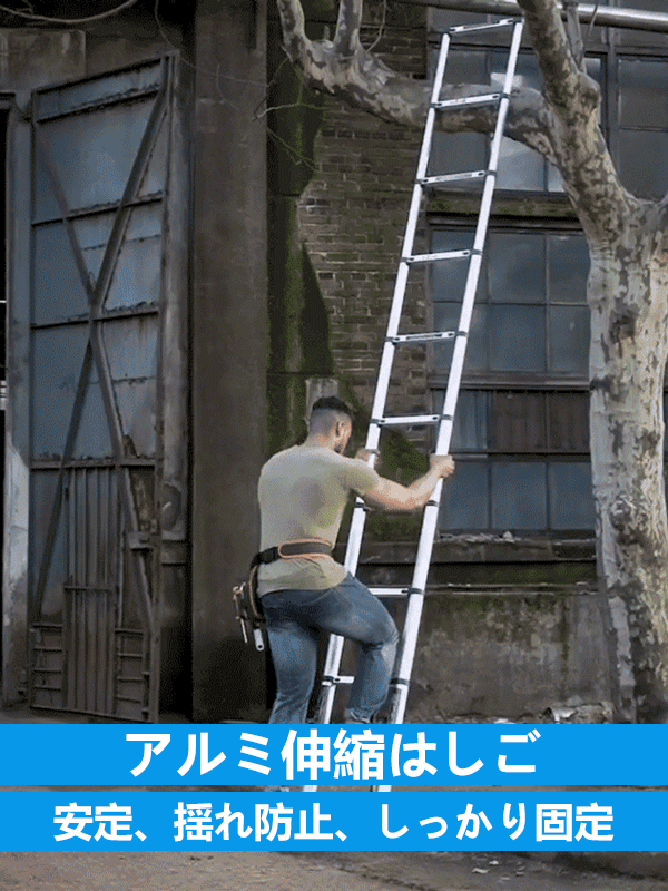 多機能伸縮はしご