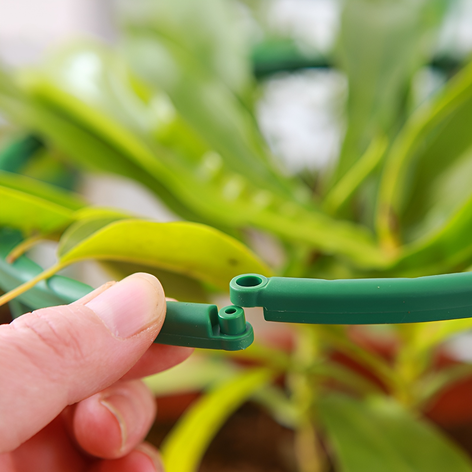 植物を支える園芸用サポートスタンド