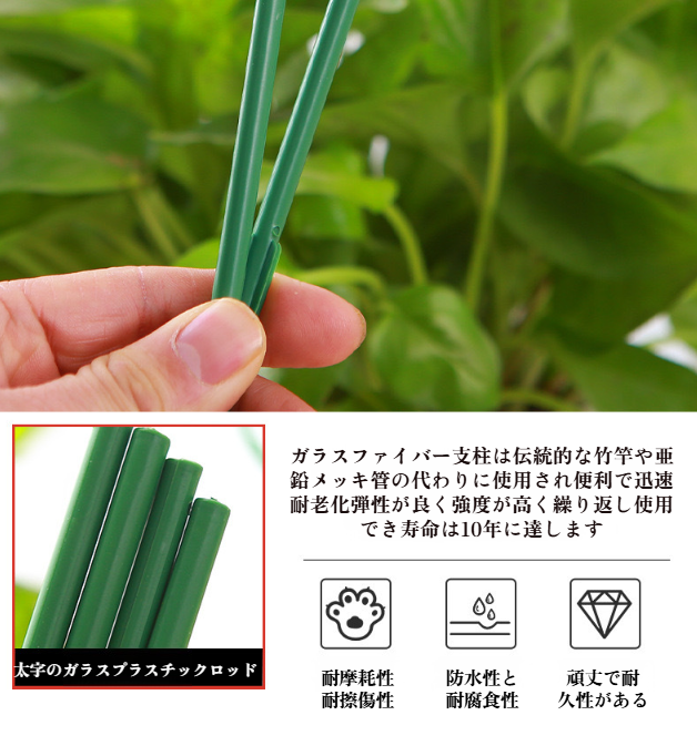 蘭や観葉植物のための専用支柱のディテール