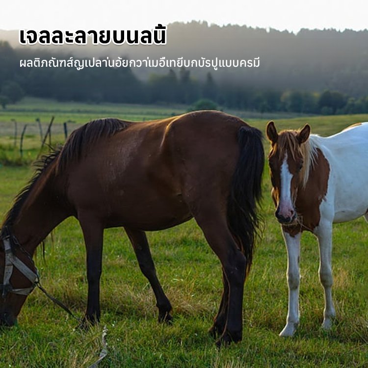 ยากันแมลงสำหรับพืชและสัตว์เลี้ยง