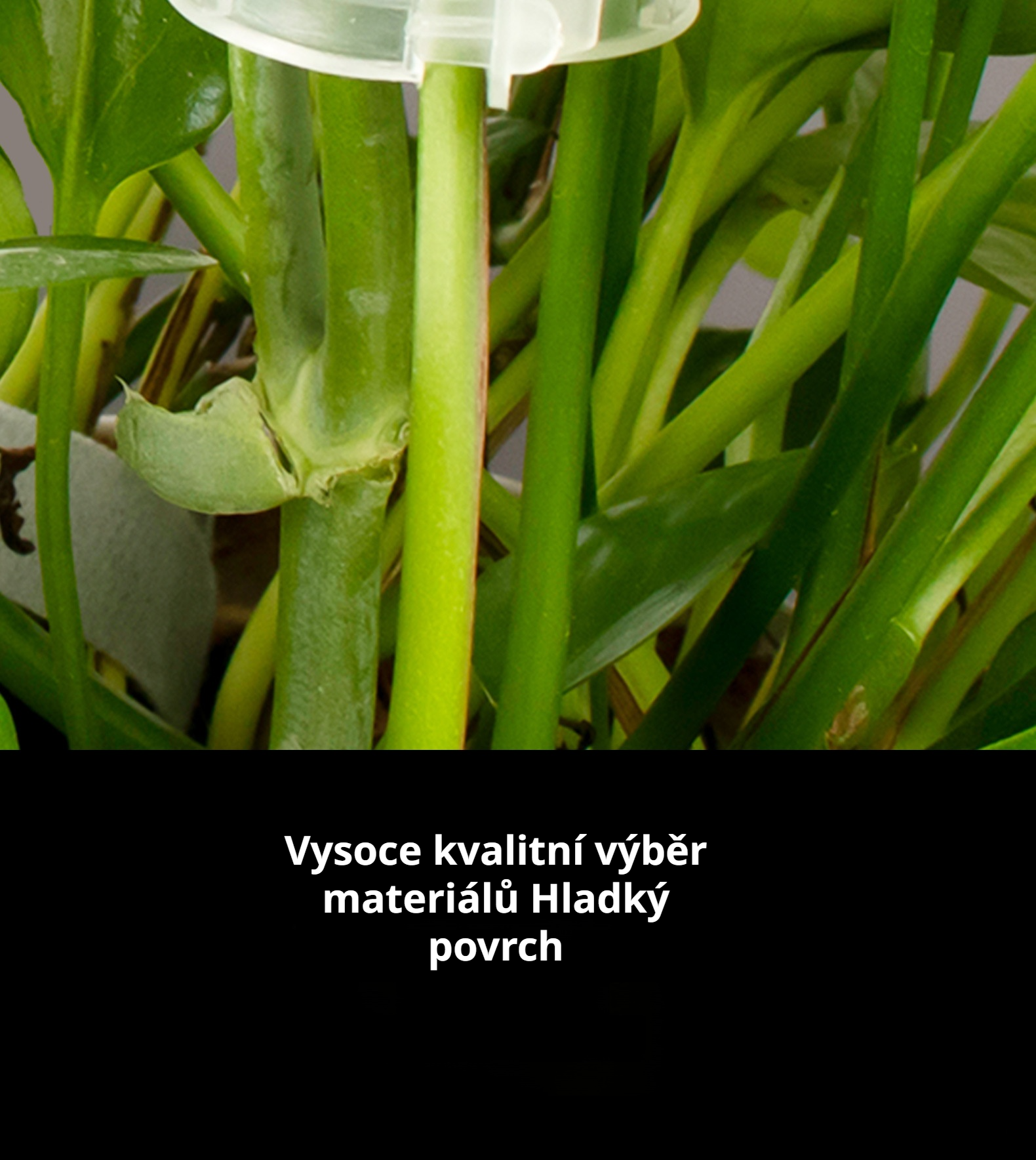 Zahradní svorky na popínavé liány