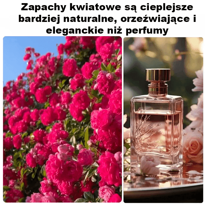 Rozkwit tysięcy kwiatów Nasiona czerwonego drewna wspinającego się po ścianach