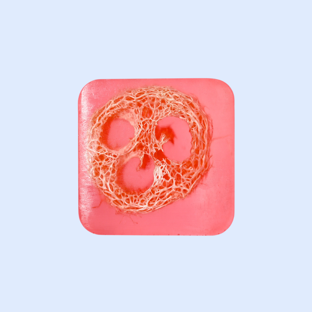 ヘチマとココナッツミルクの保湿ハンドメイド石鹸