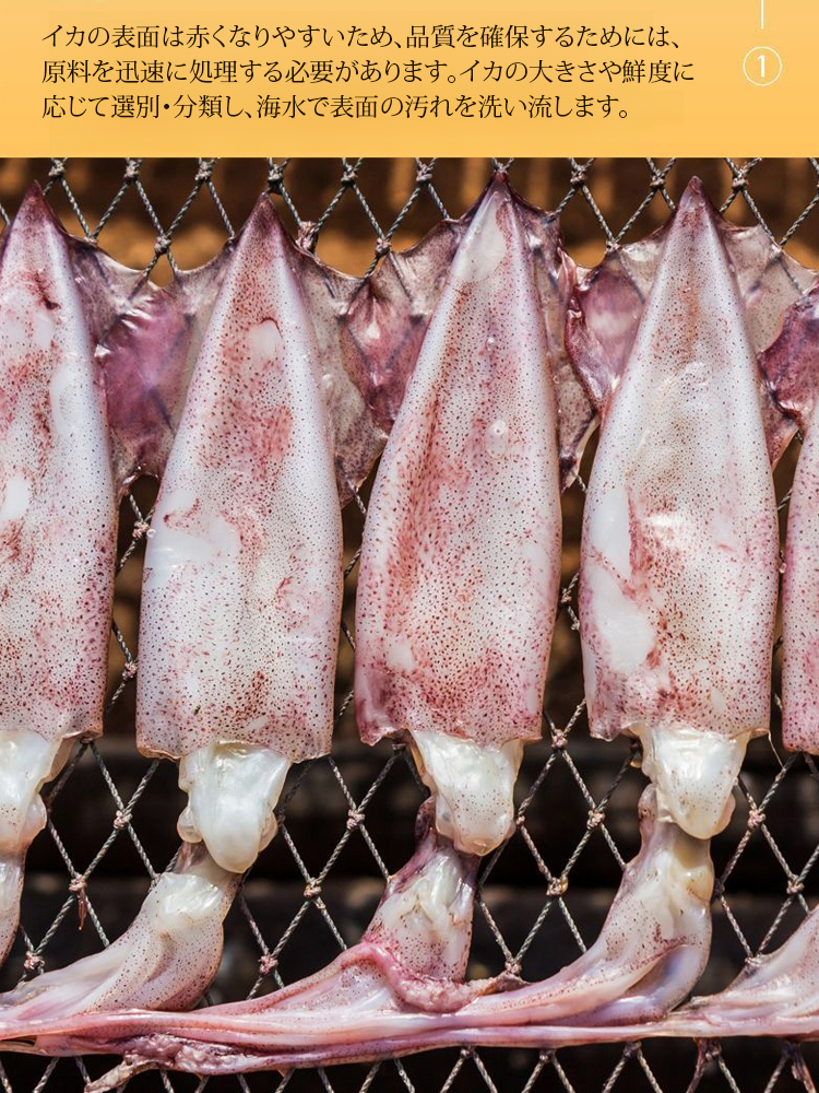 【オメガ3豊富】インスタントするめ