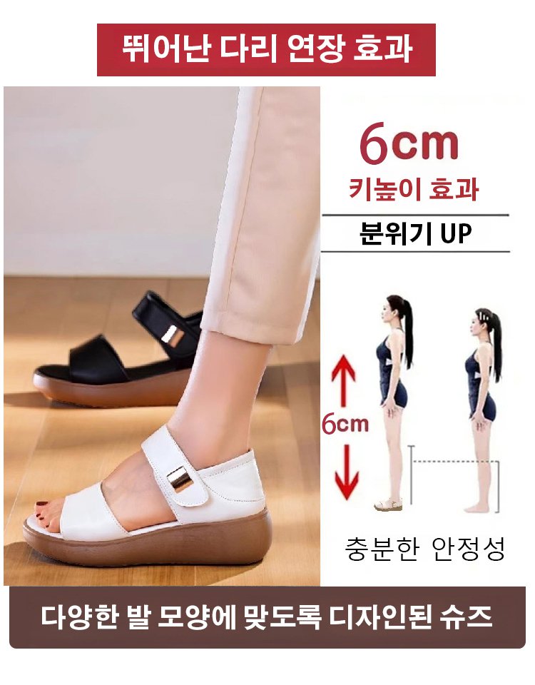 브랜드 특별 공급【저가】