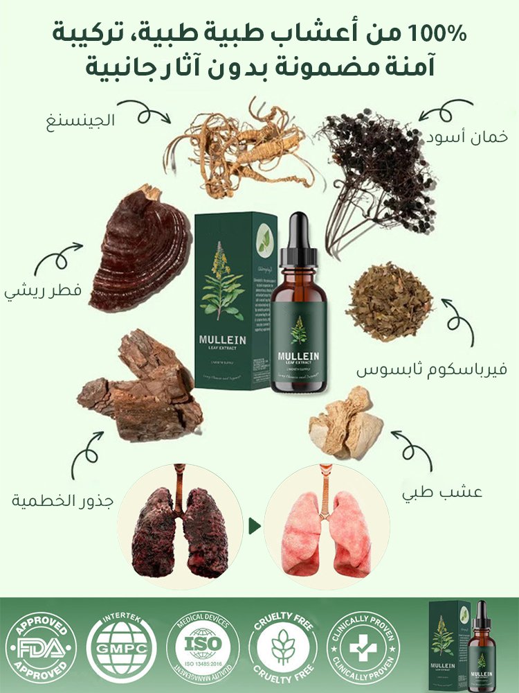 قطرات مستخلصات أوراق وأزهار فيرباسكوم ثابسوس غذائية لتنقية الرئتين وتغذيتها