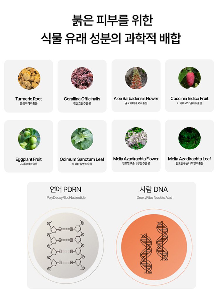 미백 복원 잡티 제거 앰플 크림