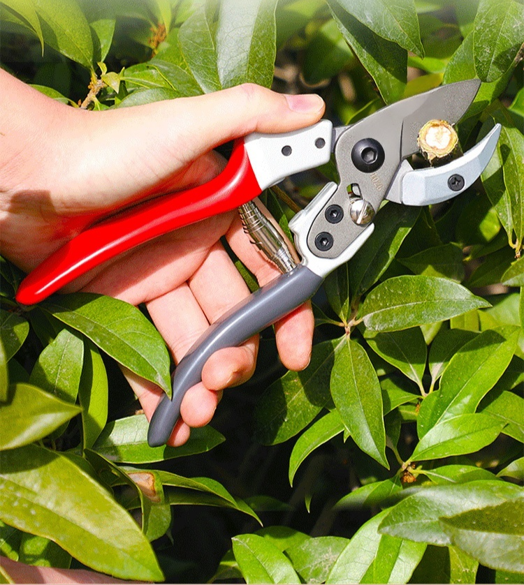 Wytrzymałe nożyce ogrodowe SK5 ze stopu stali