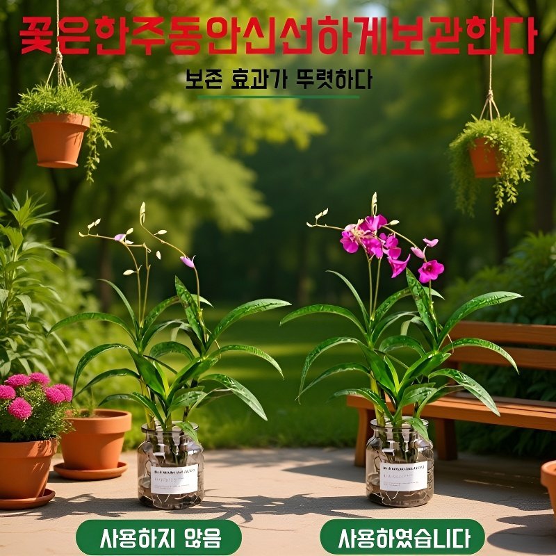 꽃과 식물 전용 발포정